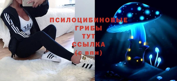 ALPHA PVP Дмитриев