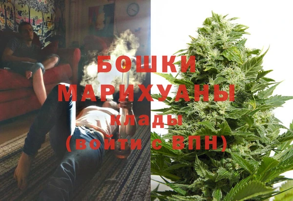 ALPHA PVP Дмитриев