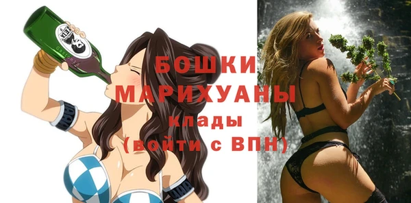 спиды Ельня