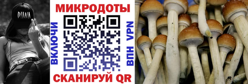 Галлюциногенные грибы прущие грибы  Купить закладки  Нижняя Салда 